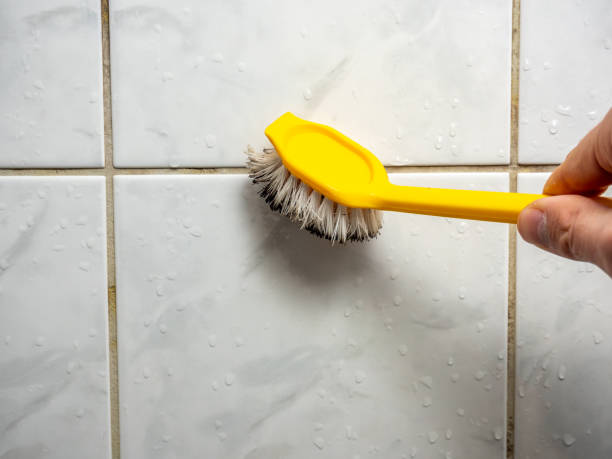 Best Professional Mold Removal  in Hayesville, OR