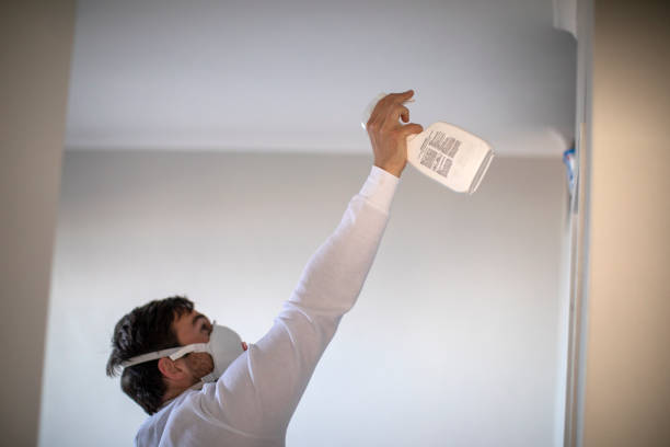 Best Office Mold Removal Services  in Hayesville, OR