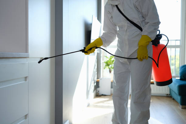 Mold Removal and Inspection in Hayesville, OR