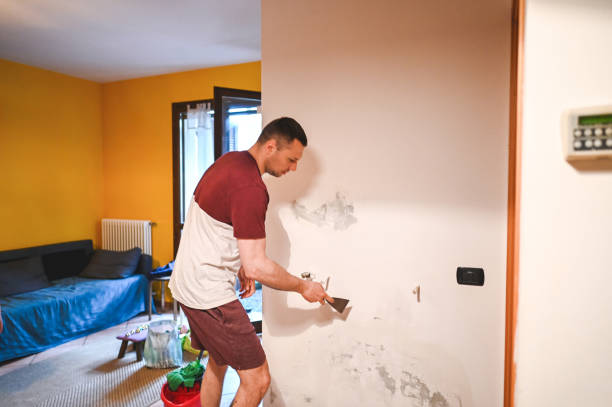 Best Mold Removal Company Near Me  in Hayesville, OR